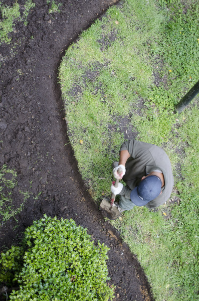 Tarif horaire d'un paysagiste professionnel