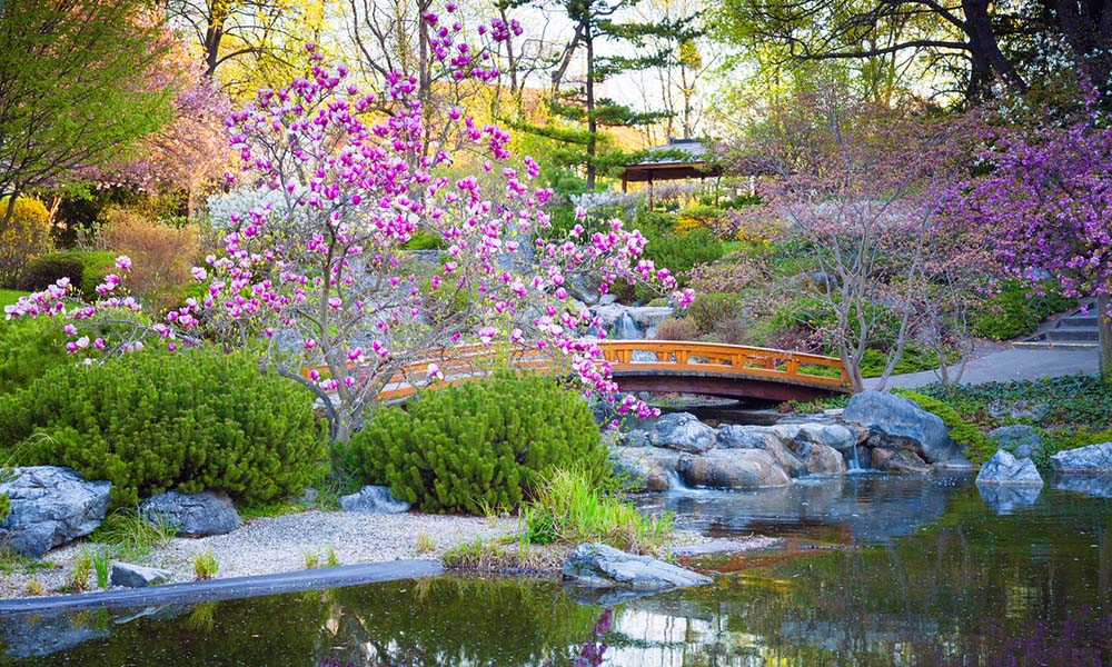 Créer Un Jardin Japonais