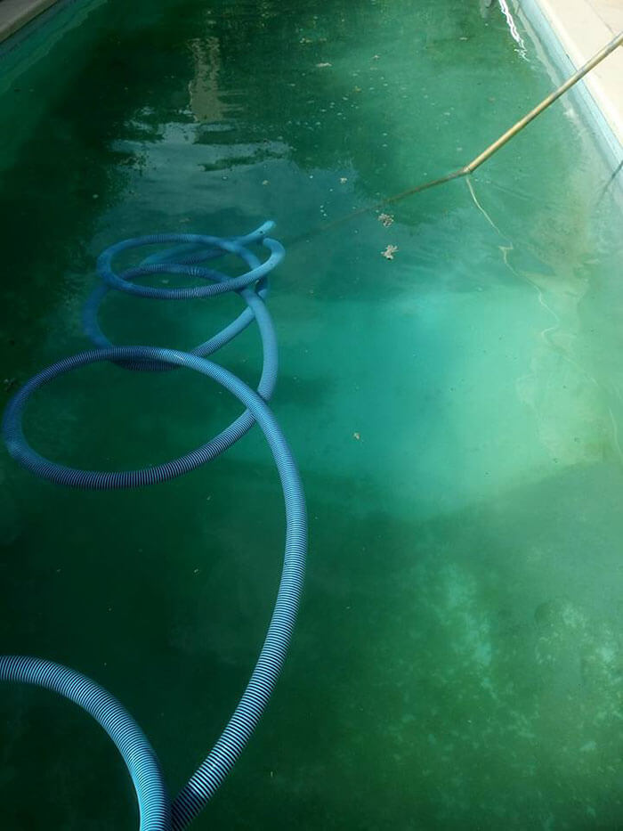 nettoyage piscine eau verte