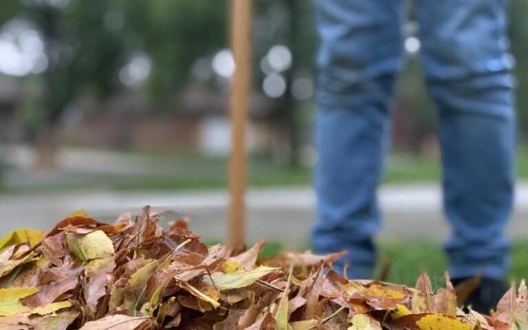 Bâche D'élagage Jardin 2x2 M - Tarp Vert Imperméable Pour Ramassage Feuilles, Protection Bois, Meubles Extérieurs