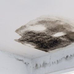 Plafond humide : quel traitement appliquer contre l’humidité ?