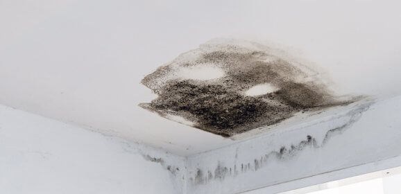 Plafond humide : quel traitement appliquer contre l’humidité ?