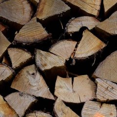 Bois de chauffage : quel est le prix du stère de bois pratiqué en 2024 ?