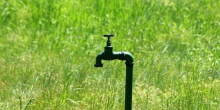 Comment installer un robinet extérieur dans votre jardin ?